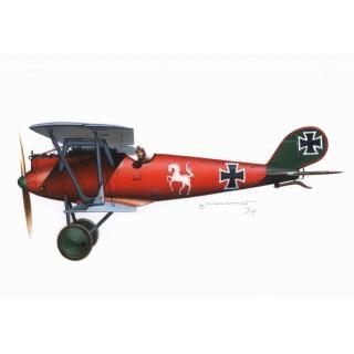 Pfalz D.IIIa