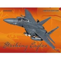 Striking Eagles (Limited Edition)