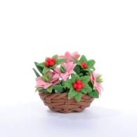 Euphorbias pink terracotta bowl