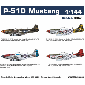 P-51D Mustang